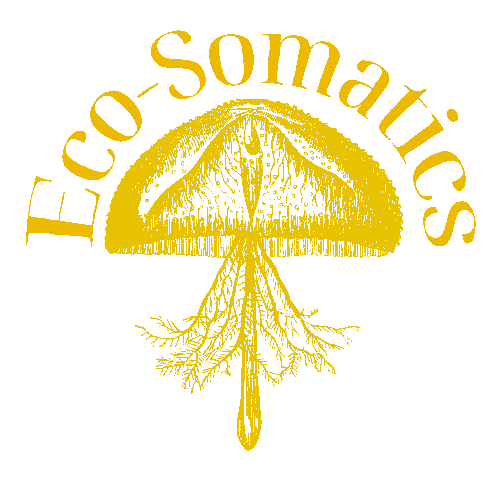eco somatics logo 1 01