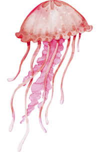 eco somatics 3 months pics 200x304