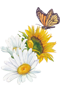 eco somatics 3 months pics 200x304 (4)