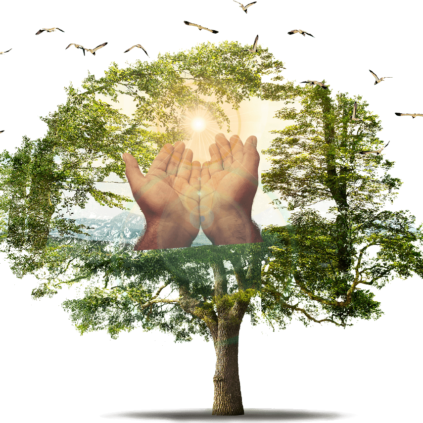 large tree with hands