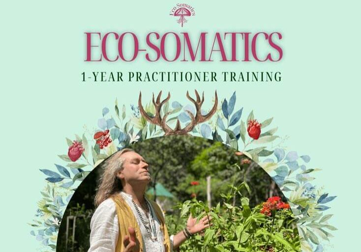 eco somatics eco somatics